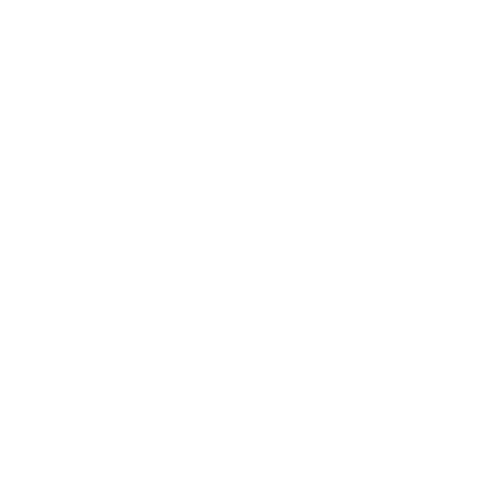 Icon 30 year badge
